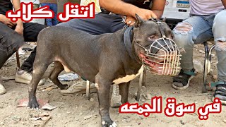 سوق الجمعه للكلاب بالسيدة عائشة سوق الكلاب الأبطال بتاريخ :٢٠٢١/٧/١٦