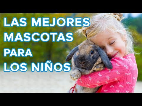 Video: Cómo Elegir Una Mascota Para Un Niño