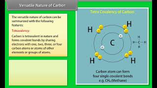 Versatile Nature Of Carbon