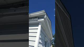 why is helicopter circling my house?