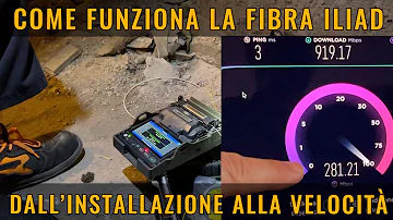 Cosa volevano i democratici?