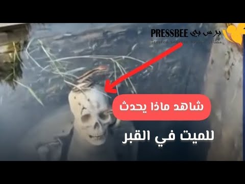 شاهد مقطع فيديو يثير الصدمة قبور زجاجية تسمح برؤية الموتى