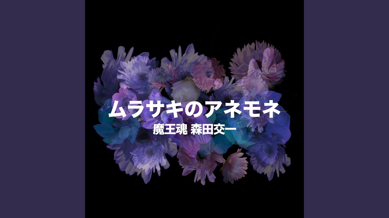 ムラサキの魅惑なアネモネ ムラサキのアネモネ - YouTube