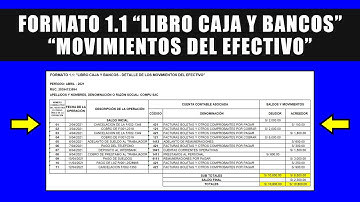Llenado del Formato 1.1: "Libro Caja y Bancos - Detalle de los Movimientos del Efectivo" - (Perú)