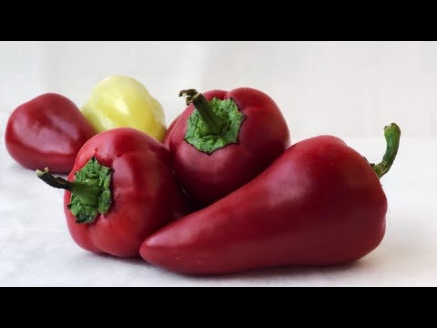 Video: Keitettyjen Munien Reseptit: Valikoima Yksinkertaisimpia Ja Herkullisia Ruokia