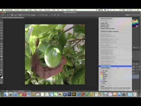 Vídeo: Com Combinar Dues Fotos A Paint