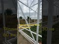 Блочная промышленная теплица 30 на 60 метров #greenhouse #цветы #теплица #теплицазимой #тюльпаны