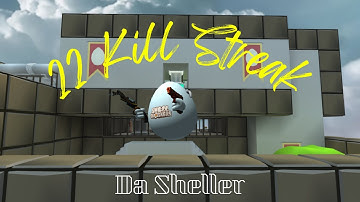 22 Kill Streak | Shell Shockers | Da Sheller
