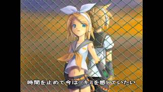 聞きたいコトがあるのです