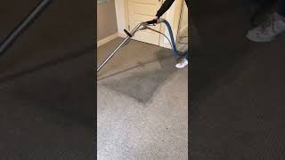 Carpet cleaners glasgow Perfect Clean