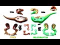 Lego dinosaur velociraptor &amp; tirex ,the jurassic park scene