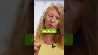 Download Lagu EPA vs DHA: Brain Health Explained MP3 Download Lagu EPA vs DHA: Brain Health Explained MP3