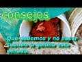 Consejos que debemos tomar en cuenta cuando una gallina está echada