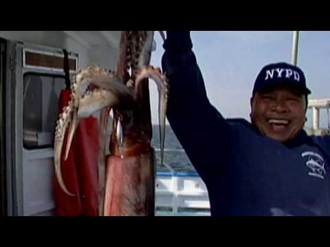 КАЛЬМАР НА ГРИЛЕ. © Montenegro. Cooking. Calamari.