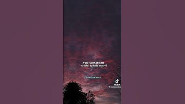 Thumbnail of uyisela njoko ft limit nala