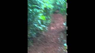 San pedro misiones tilla 3