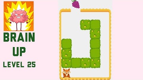 Brain Up Level 25 Walkthrough