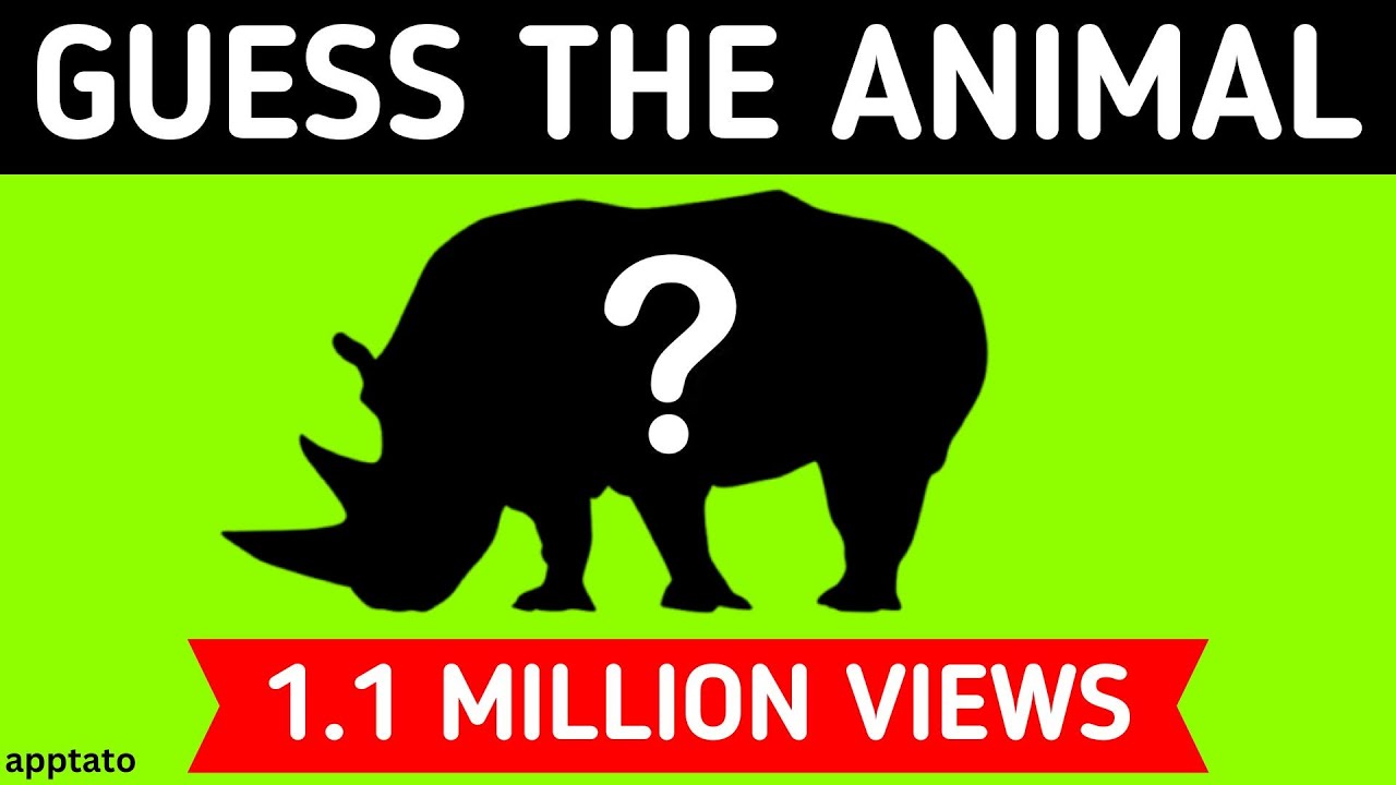 Guess the Animal Quiz #1 | Can You Guess the Animals Shadow | Animal Quiz  Guessing Game - YouTube