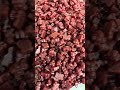 Premium Gummy Supplements Manufacturing 🍬 #supplementwholesaler #gummymanufacturing