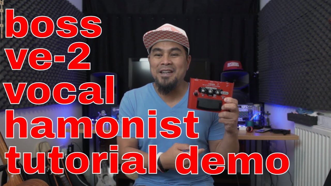 その他 BOSS VE-2 Vocal Harmonist BOSS VE-2 Vocal Harmonist Multi-Effects Pedal | Music & Arts