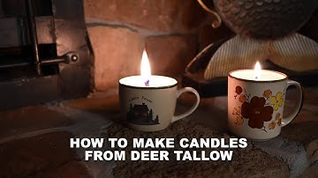 How to Make Candles from Deer Tallow