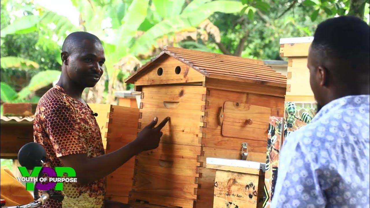 Why we should protect bees how important are bees in our lives honey