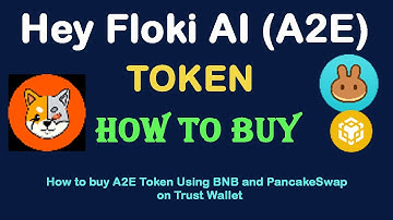 How to Buy Hey Floki AI (A2E) Token Using BNB and PancakeSwap On Trust Wallet