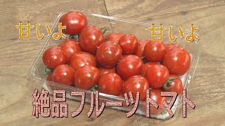 絶品！完熟フルーツトマト「あきらの路ゆけば人情街道 File16 加賀市豊町」（2021年7月16日放送）