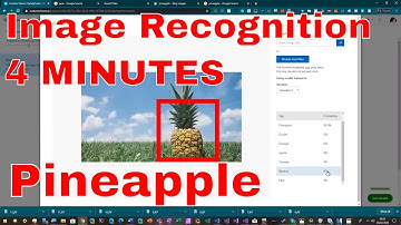 Image Recognition in 4 minutes