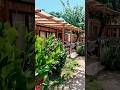 Bungalow #shortvideo #shorts