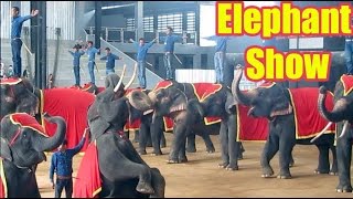 PATTAYA ELEPHANT SHOW FULL VIDEO | Thailand's Elephants Got The Talent