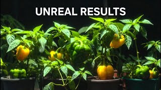 My Plants EXPLODED After This Homemade Fertilizer! (HUGE Harvest)