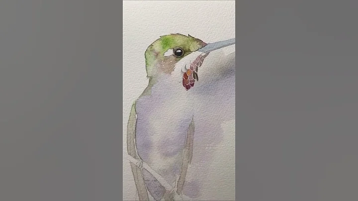 Watercolor Hummingbird #shorts