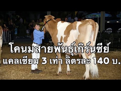 วีดีโอ: การจำแนก - มันคืออะไร? ความหมายและความหมาย