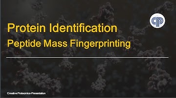 Protein Identification - Peptide Mass Fingerprinting