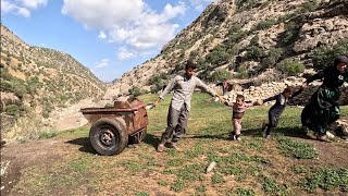 After the Heavy Rain, The Atabek Family Cleans the Place of the Goats. #Animal_Lover