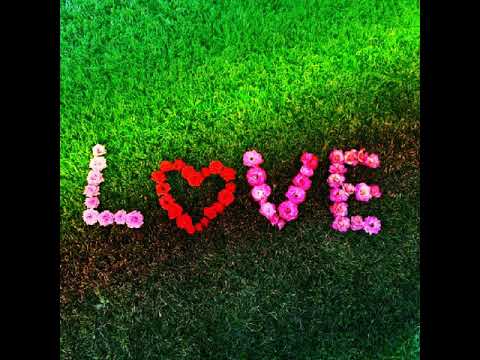 Клип Алексей Воробьёв/ я тебя люблю 💖