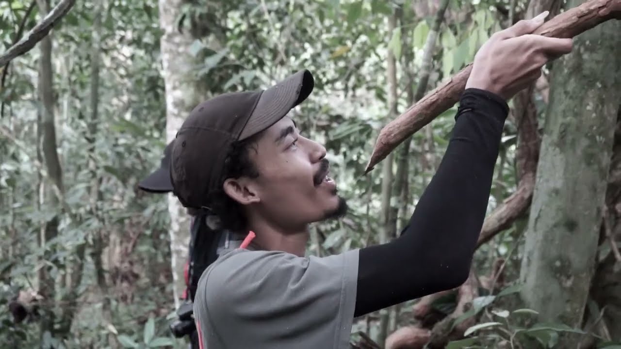 “Permata Dahayu Bhumi Melayu” Ekspedisi Taman Nasional Bukit Barisan Selatan Mapala Silvagama