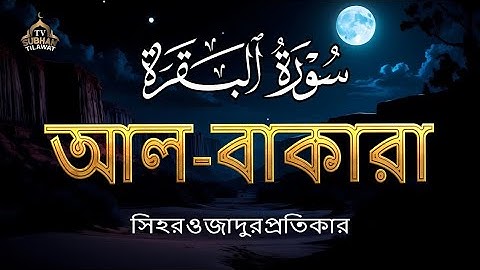 🌿 পৃথিবীর সবচেয়ে হৃদয়ছোঁয়া সুরা বাকারা তেলাওয়াত | Surah Al Baqarah (سورة البقرة) by Alaa Aqel 🎧