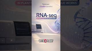 RNA-seq in Plants: How the Technique Works