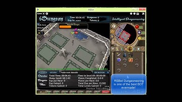 Runescape RSBot Dungeoneering bot video iDungeon Preview 2012