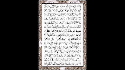 القرآن الكريم بصوت الشيخ سعد الغامدى صفحات  صفحة رقم ( 44 )