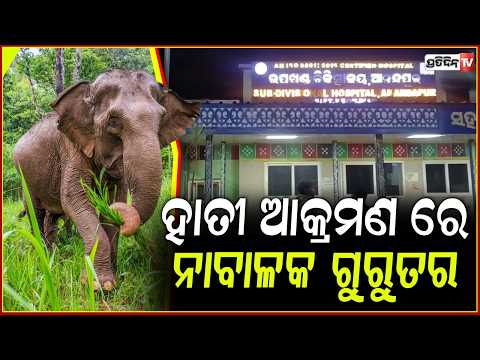 ଶୌଚପାଇଁ ଯାଇଥିବା ବେଳେ ଦଳି ଦେଲା ହାତୀ,ନାବାଳକ ଗୁରୁତର ! elephant attack,keonjhar