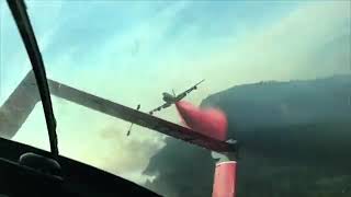 Animal Life Bengali38