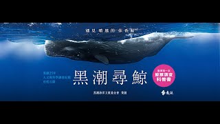 黑潮尋鯨：遇見噴風的抹香鯨 (黑潮25年人文與科學調查紀錄首度公開)