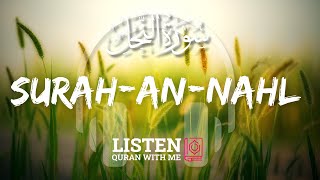 Surah-An-Nahl | The Bees | Omar Hisham Al Arabi | Listen Quran With Me