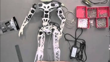 First 3D-printed, open-source humanoid robot