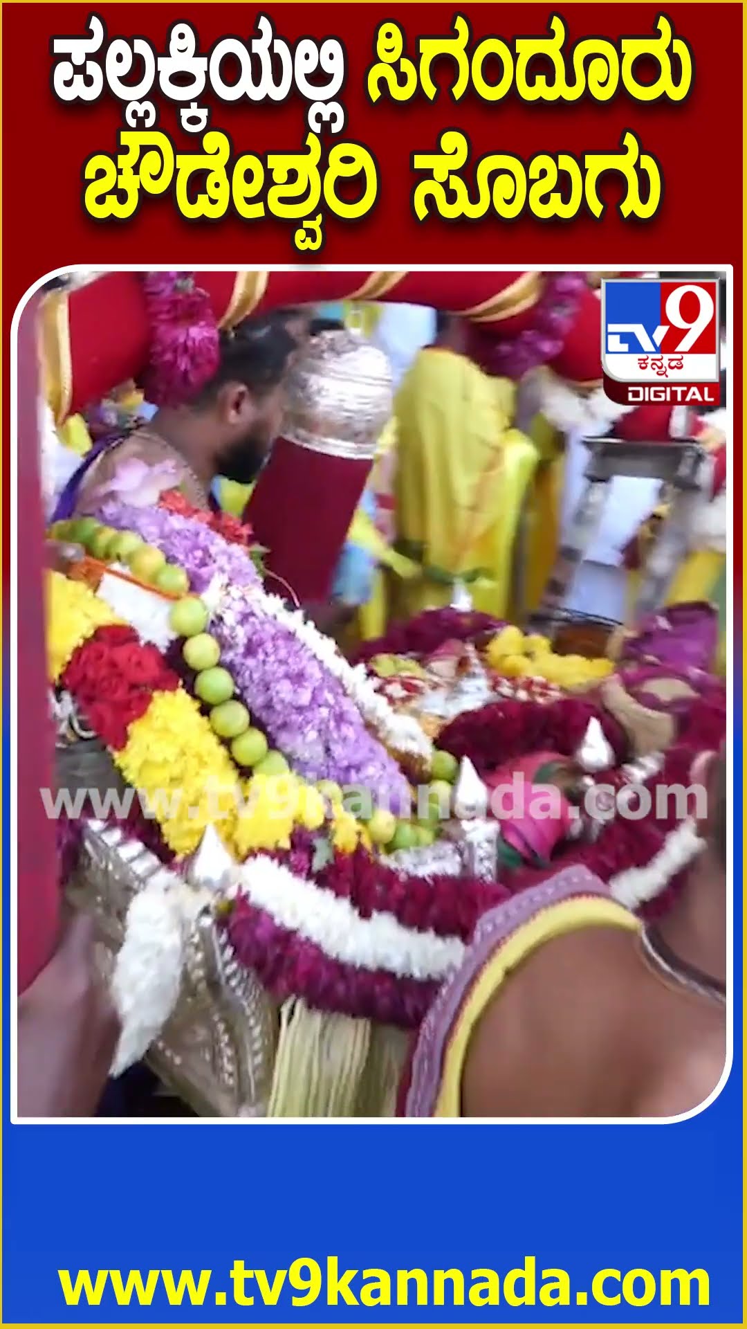 ಪಲ್ಲಕ್ಕಿಯಲ್ಲಿ ಹೊರಟ ಮೆರವಣಿಗೆ ಹೊರಟ ಚೌಡೇಶ್ವರಿ ಸೊಬಗು ಕಣ್ತುಂಬಿಕೊಳ್ಳಿ #SigandurChowdeshwari| #TV9D