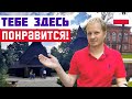 КАТОВИЦЕ: ЗЕЛЁНЫЙ ГОРОД ПОЛЬШИ. Что посмотреть в Катовице? Жизнь в Польше