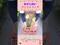 おすすめの花 クニフォフィア #園芸 #ガーデニング #初心者